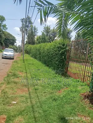 1/2 Acre Land for Sale Runda Evergreen