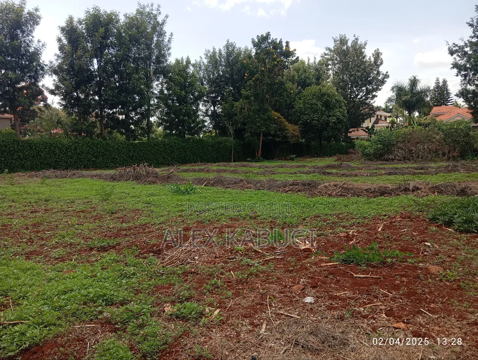 1/2 Acre Land for Sale Runda Evergreen