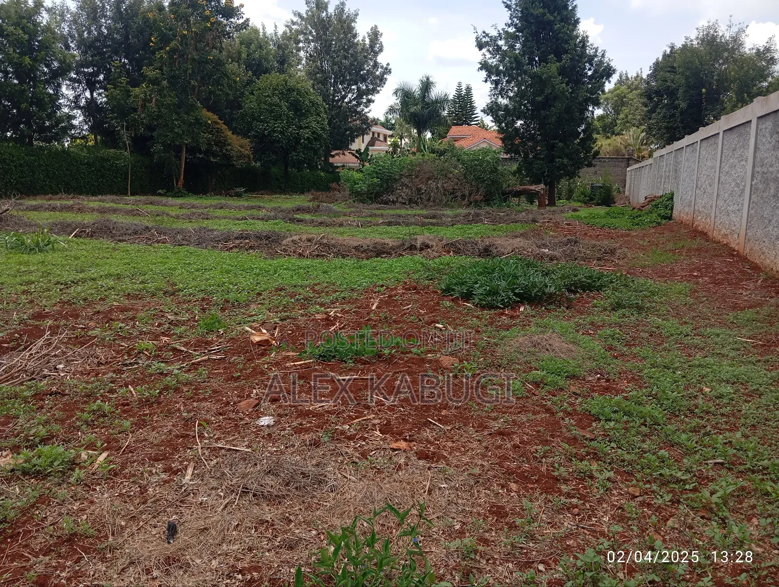 1/2 Acre Land for Sale Runda Evergreen