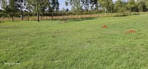 Plots for Sale in Annex Bethel Eldoret