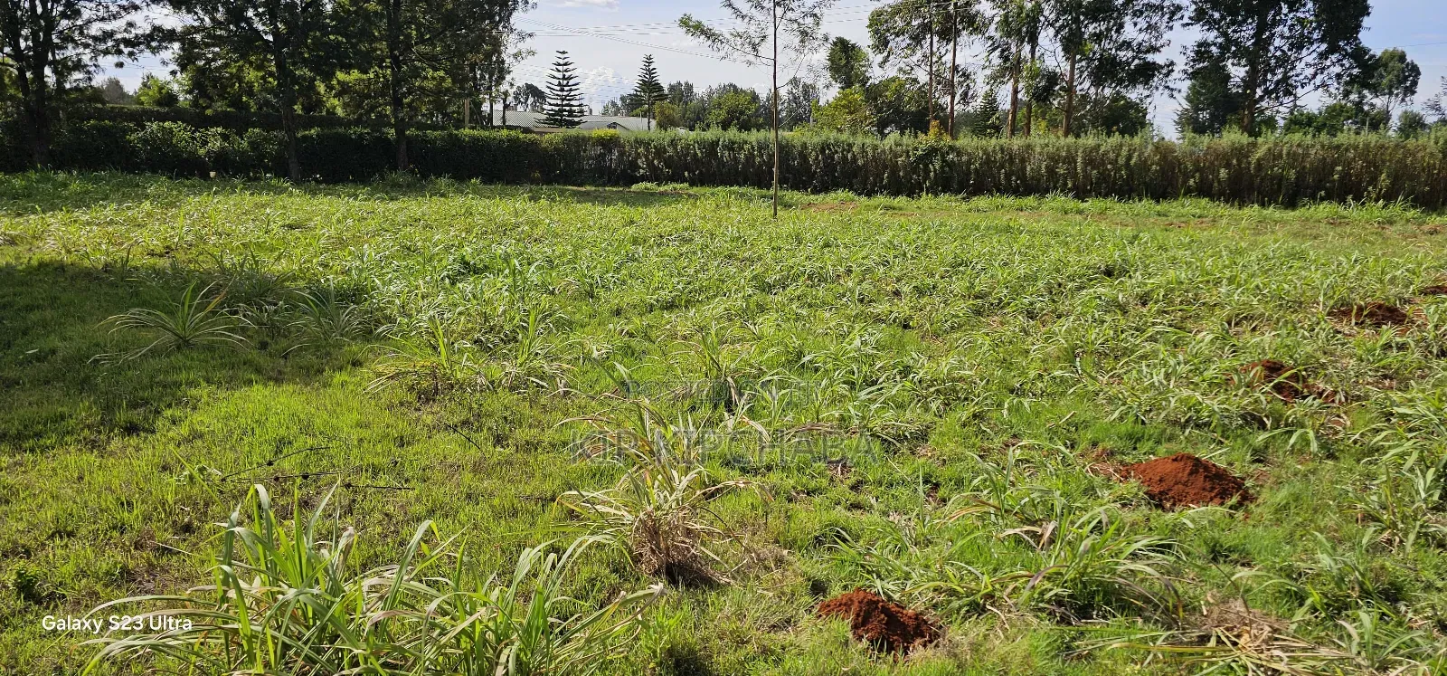 Plots for Sale in Annex Bethel Eldoret