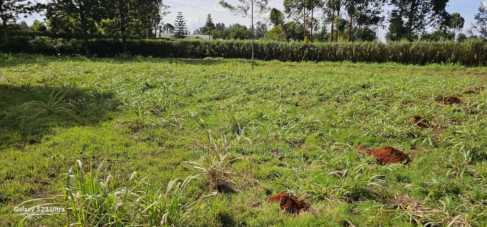 Plots for Sale in Annex Bethel Eldoret