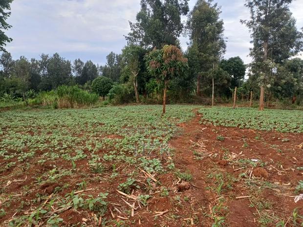 Half Acre in Kabati Kenol - thumbnail 2