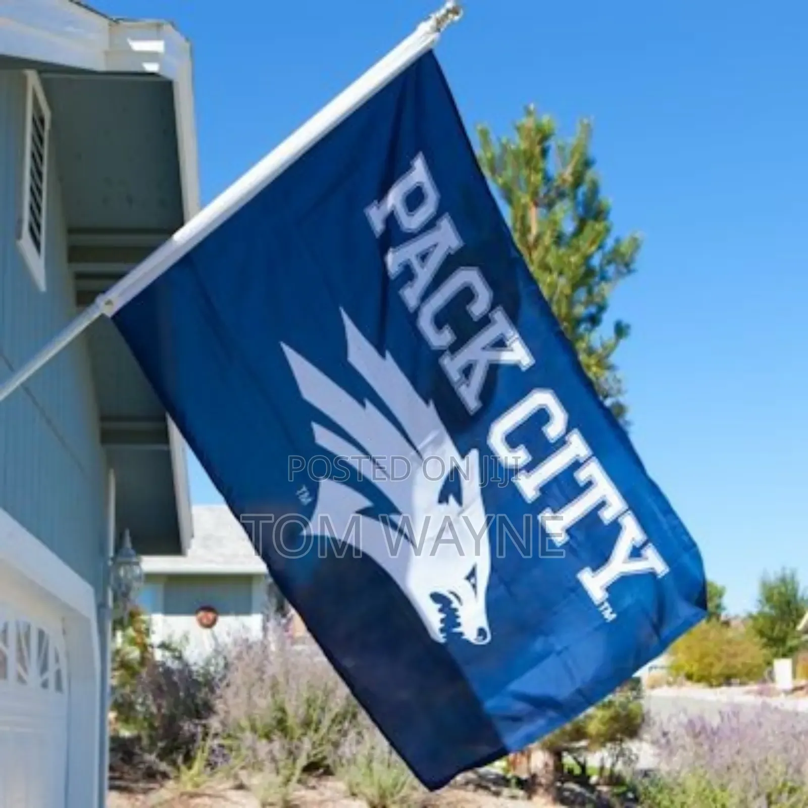 Flag, Can Do Custom Ones With Your Details