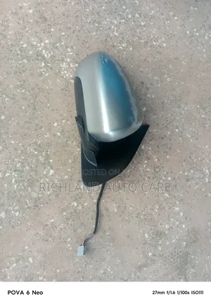 Dualis Side Mirror
