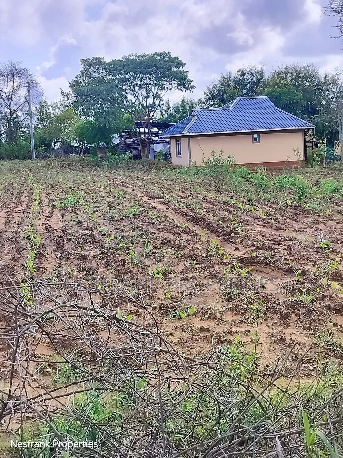 Plots In Matuu Size 50*100