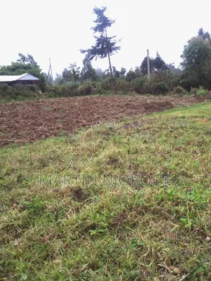 1⁄2 Acre Kirangi, Kirenga