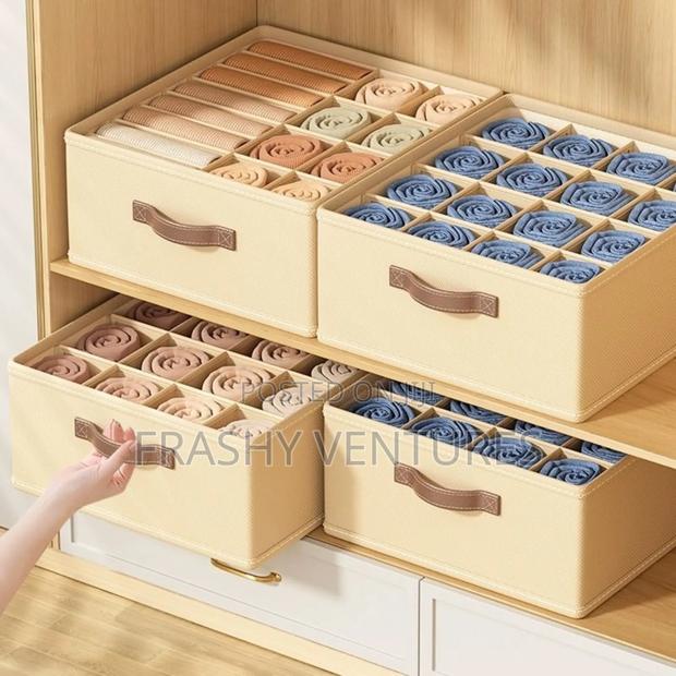 Partitioned Cloth Organizer