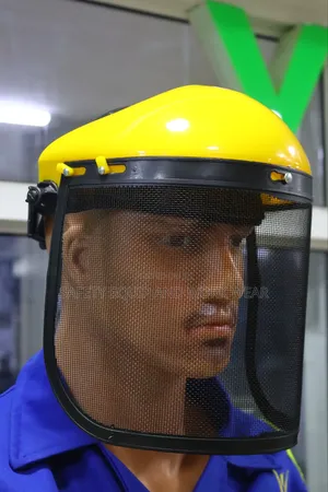 Face Shield Mesh Visor