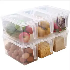 Freezer Food Grade Storage Box