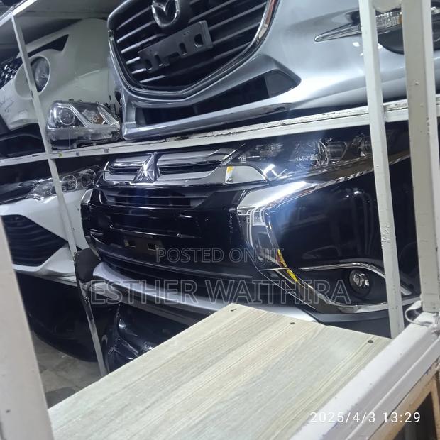 Mitsubishi Outlander Nosecut