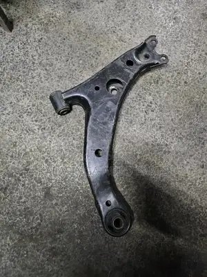 Control Arm Premio Nyoka