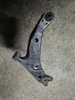 Control Arm Premio Nyoka
