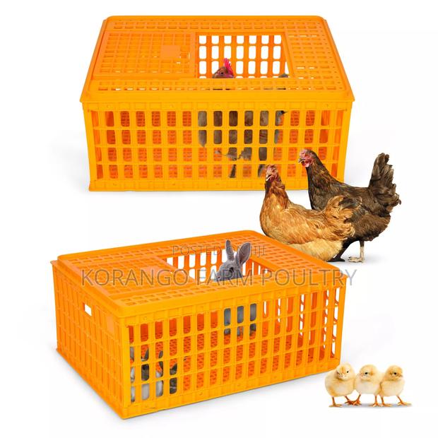 Poultry Xages