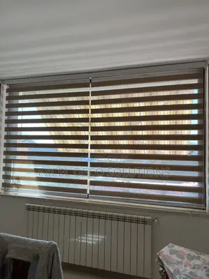Contemporary Stylish Look Zebra Roller Blinds