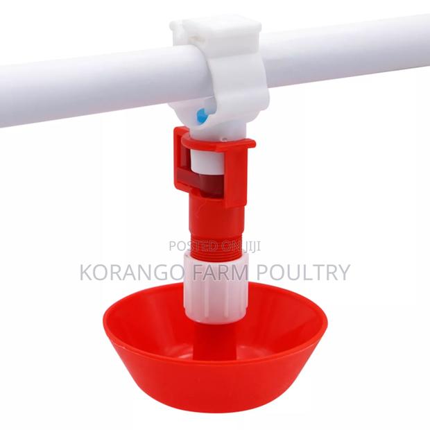 Chicken Nipples Drinkers - main view