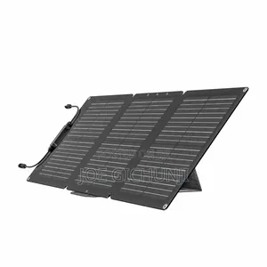 Ecoflow 60w Portable Solar Panel