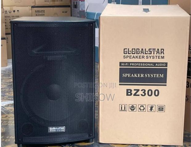 15" Plain Plastic Speaker - main view