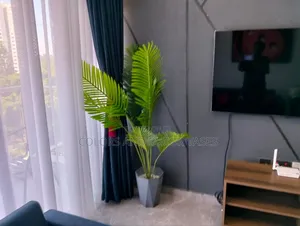 Plant Palm With Vase 1.5m Long