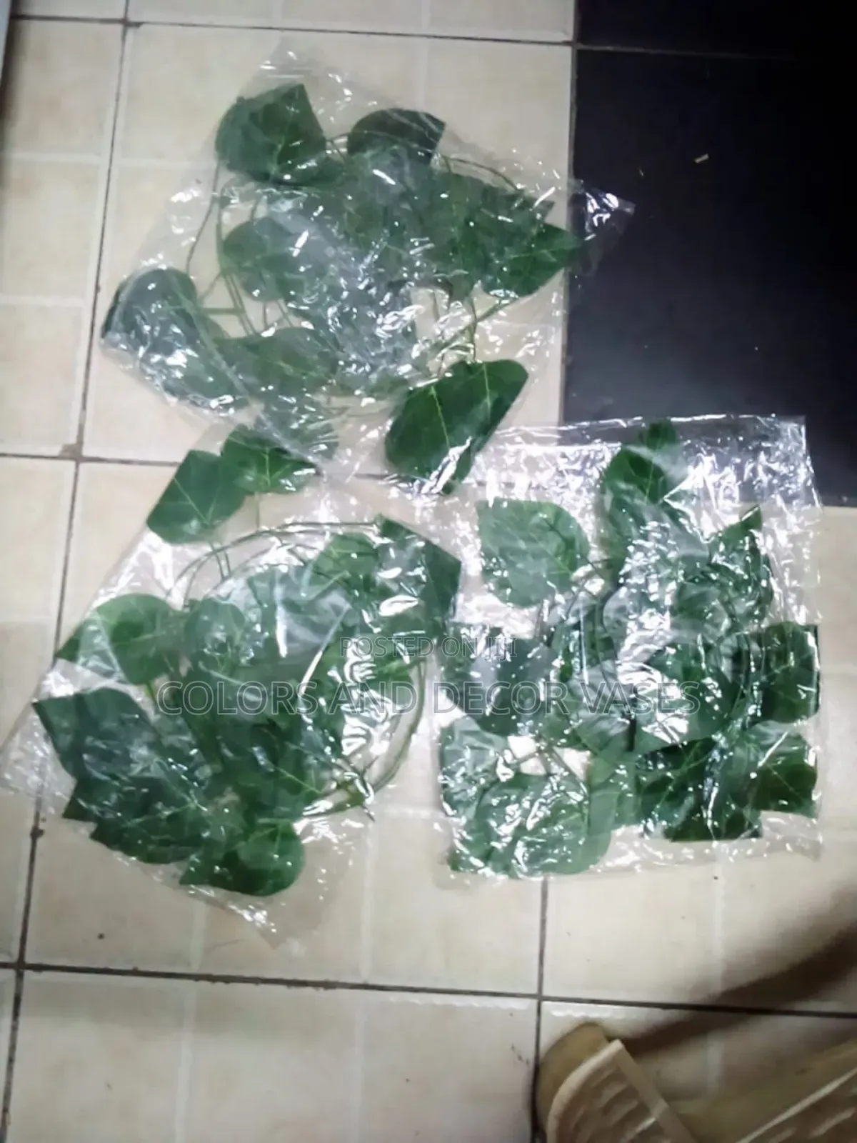 Green Faux Money Plants