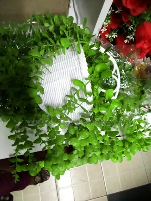 Hanging Plastic Vase With Vines