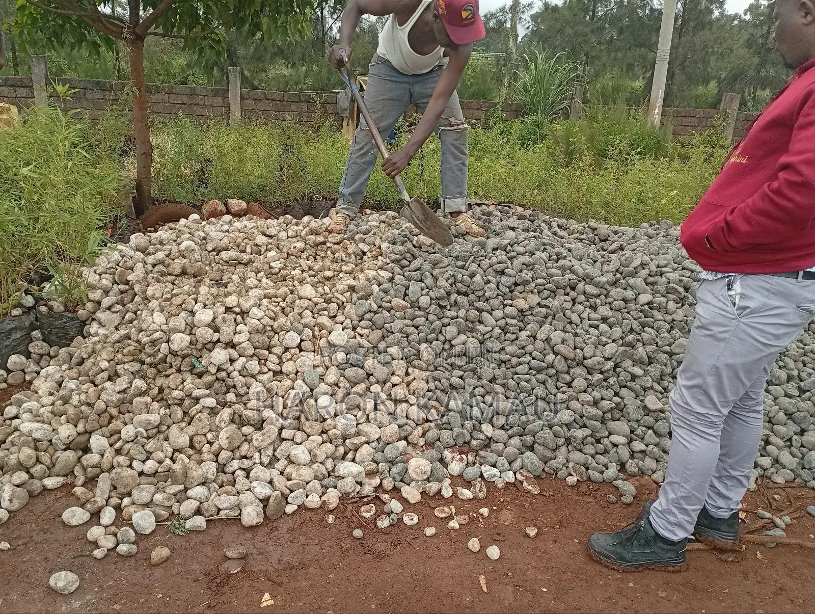 Pebble Stones(White and Gray)