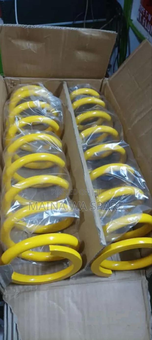 Heavy Duty Spring's