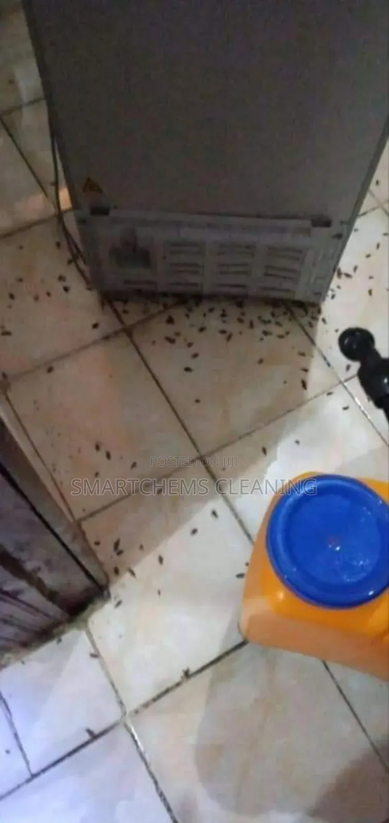 Genocide of Cockroaches