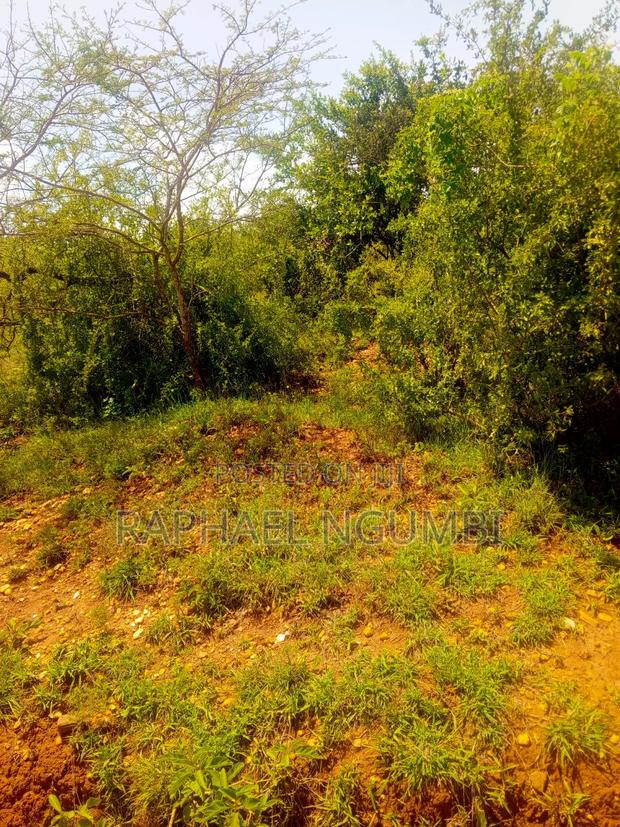 50*100 Plot at Thaitha Machakos - thumbnail 5
