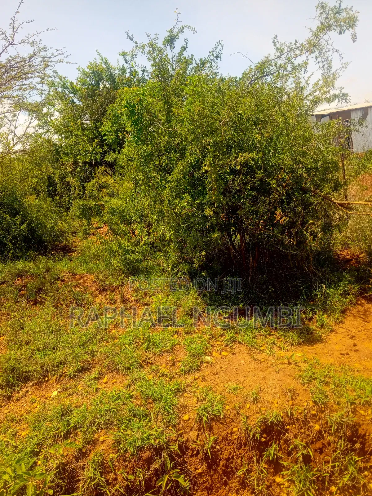 50*100 Plot at Thaitha Machakos