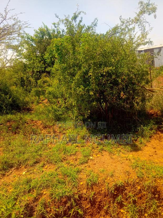 50*100 Plot at Thaitha Machakos - thumbnail 6