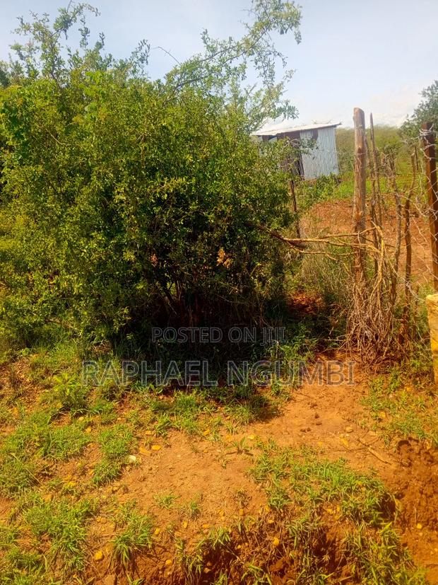 50*100 Plot at Thaitha Machakos - thumbnail 7