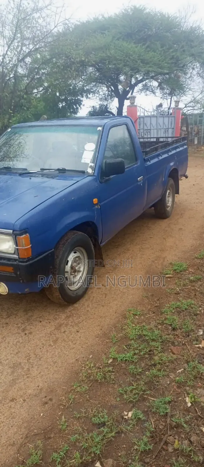 Nissan Pick-Up 1996 Black