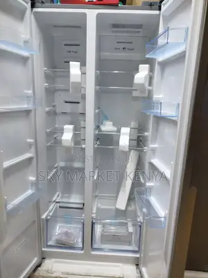 Ramton 430 Liters Rf/319 Frost Free Side by Side Fridge