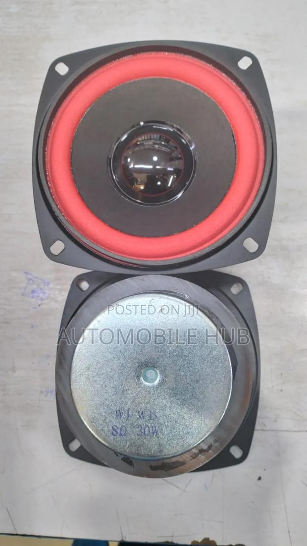 4 Inch Speaker - Door Speaker