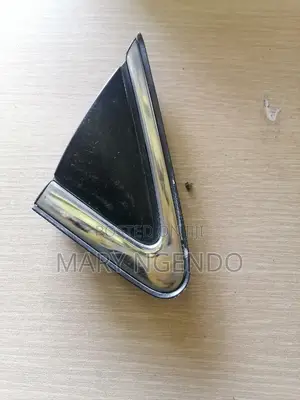 Nissan Sylphy Side Mirror Finisher