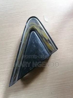 Nissan Sylphy Side Mirror Finisher