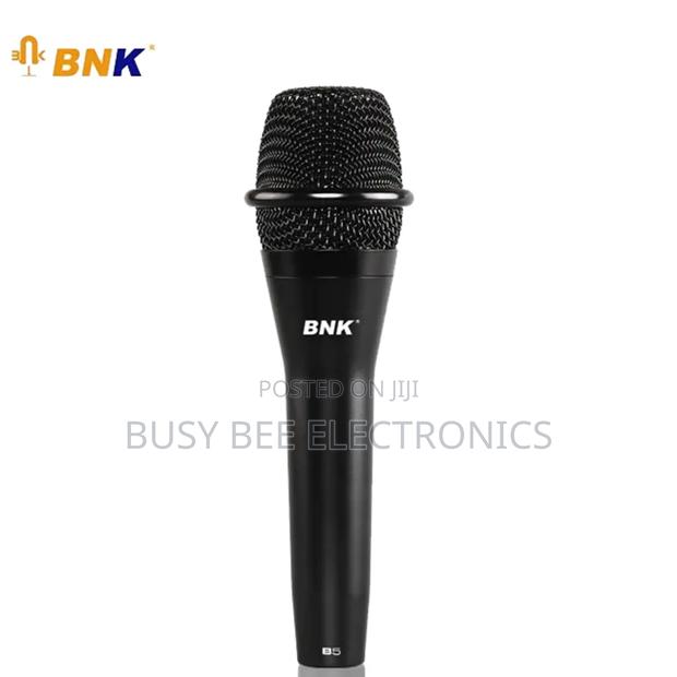 BNK B5 Professional High Quality Vocal Microphone - main view