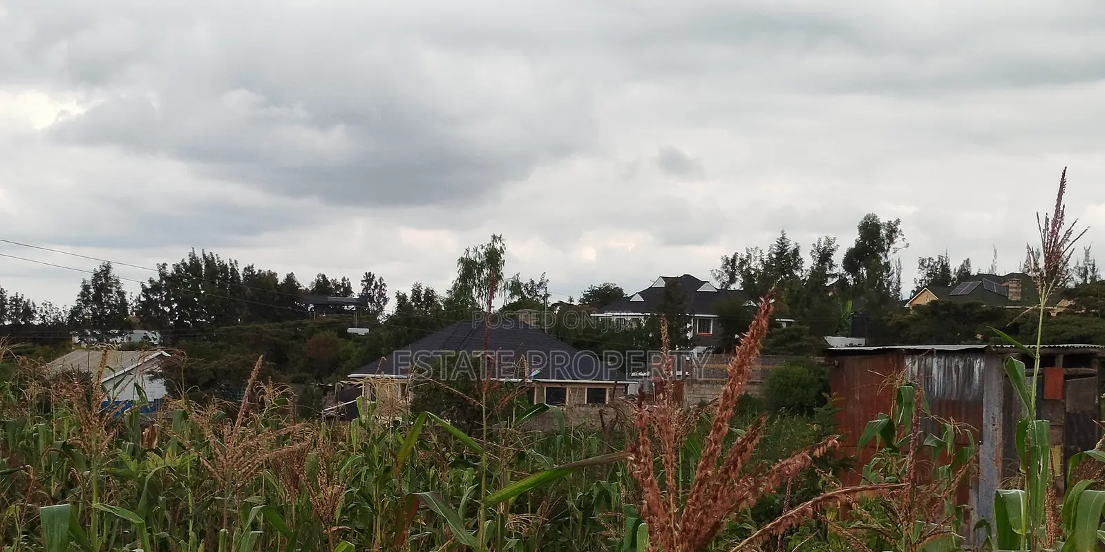 Prime 1/8 Acre Plot in Ongata Rongai , Nkoroi, Merisho Area