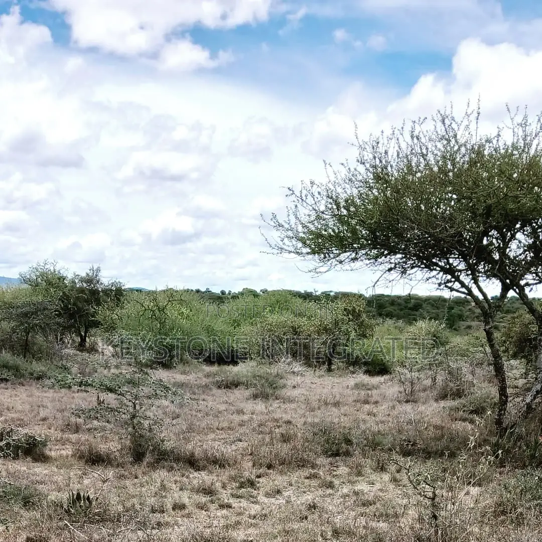 Land for Sale in Konza