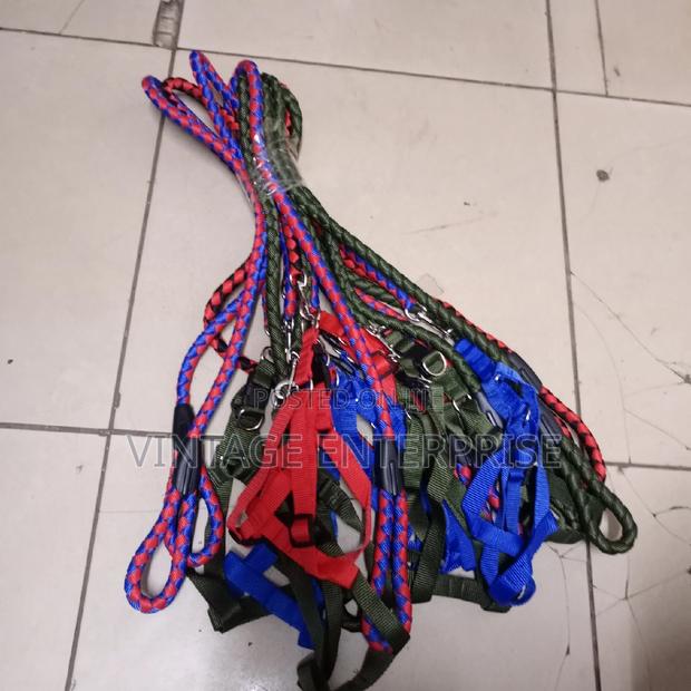 Chiwawa Dog Leash - main view