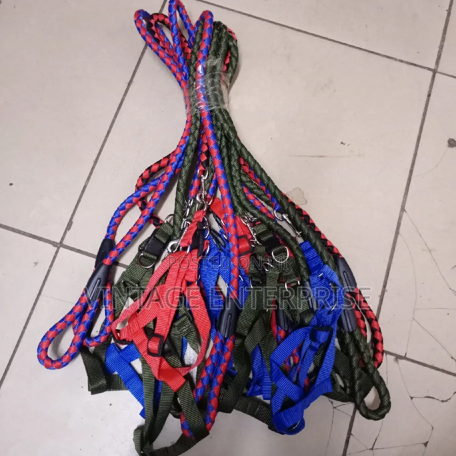 Medium Size Dog Leash