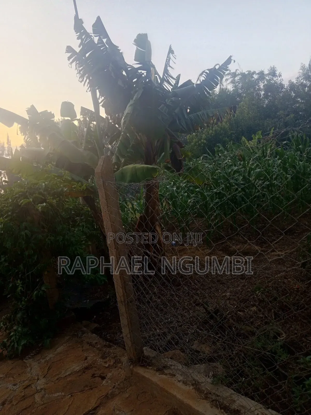 Furnished 5bdrm House in Mua for sale