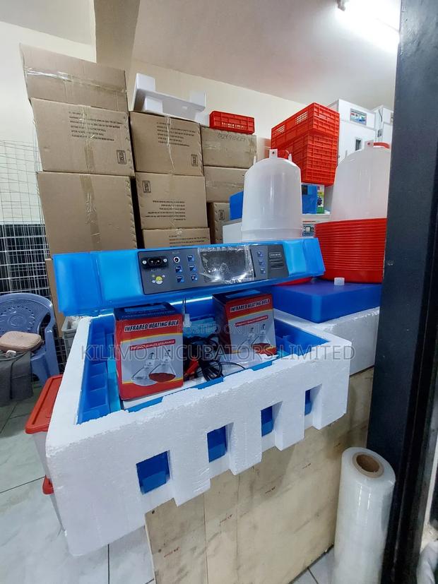 64 Eggs Incubator - main view