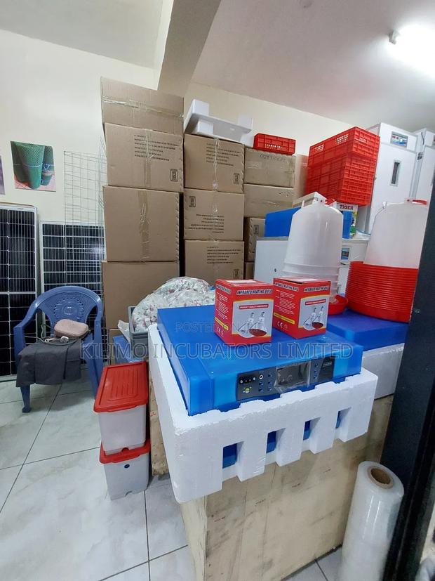 64 Eggs Incubator - thumbnail 2