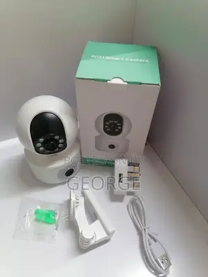 PTZ 2mp PTZ Dual Lens Wifi Smart Camera Nanny Camera