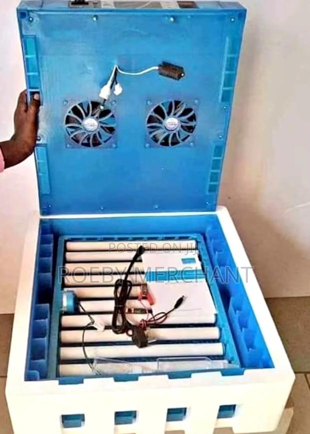 Eggs Incubator, 64ggs Incubator