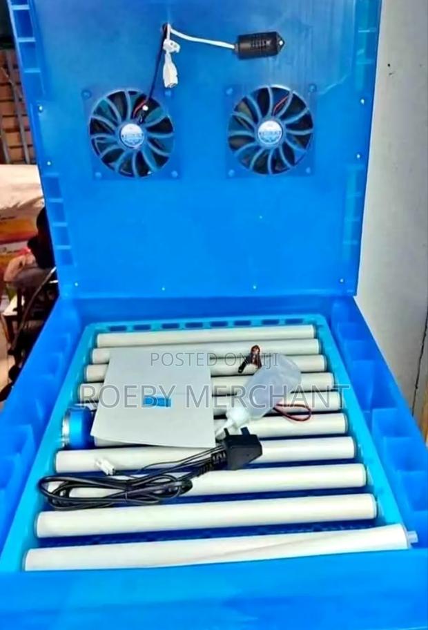 Affordable Automatic Ac/Dc Eggs Incubator Machine
