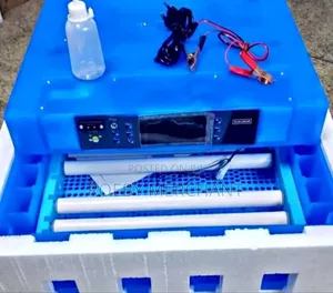 Acdc Full Automatic 64eggs Incubator