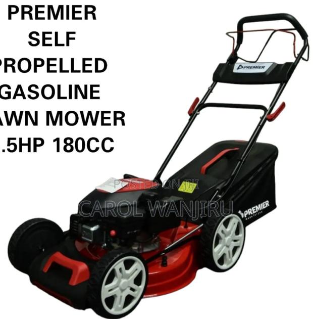 Self Propelled Gasoline Lawn Mower 5.5hp / Lawn Mower